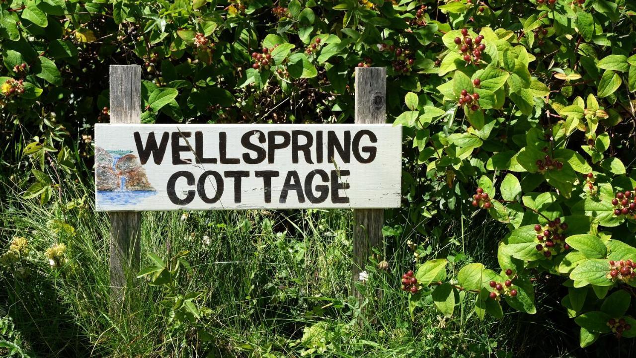 Wellspring Cottage Nr Kynance Cove 리자드 외부 사진