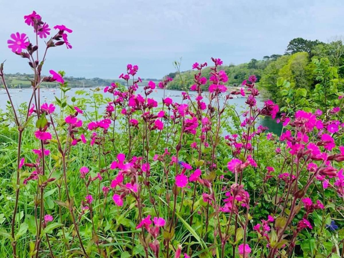 Wellspring Cottage Nr Kynance Cove 리자드 외부 사진